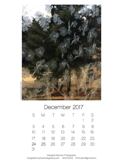 photography calendars