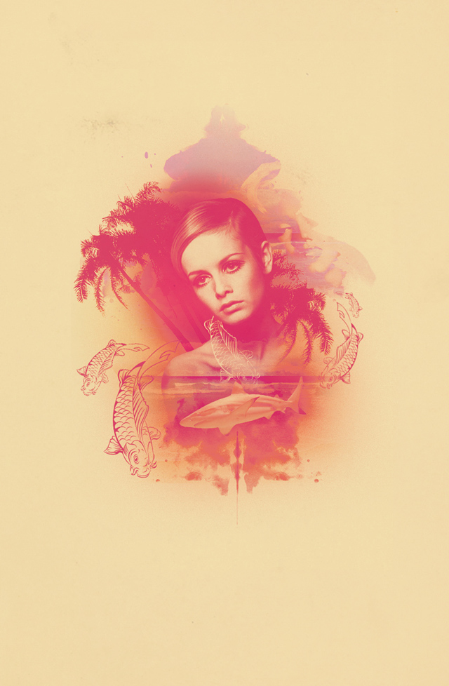 Twiggy by Taylor David Twiggy by Taylor David