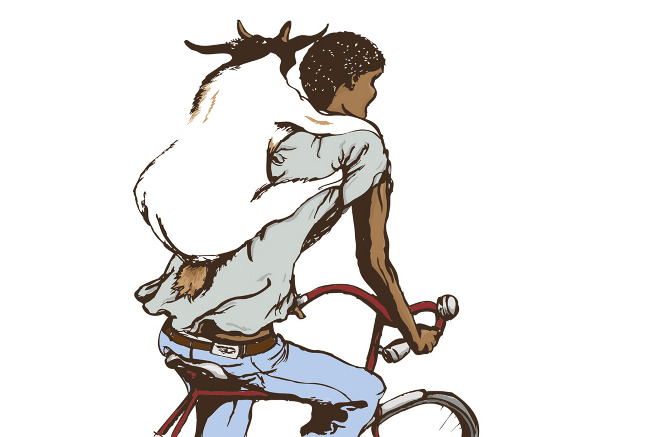 ... bombay bicycle club sketchb...