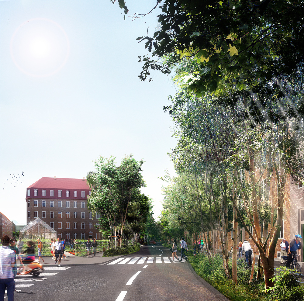Bio divercity kubotabachmann Skt kjelds kvarter