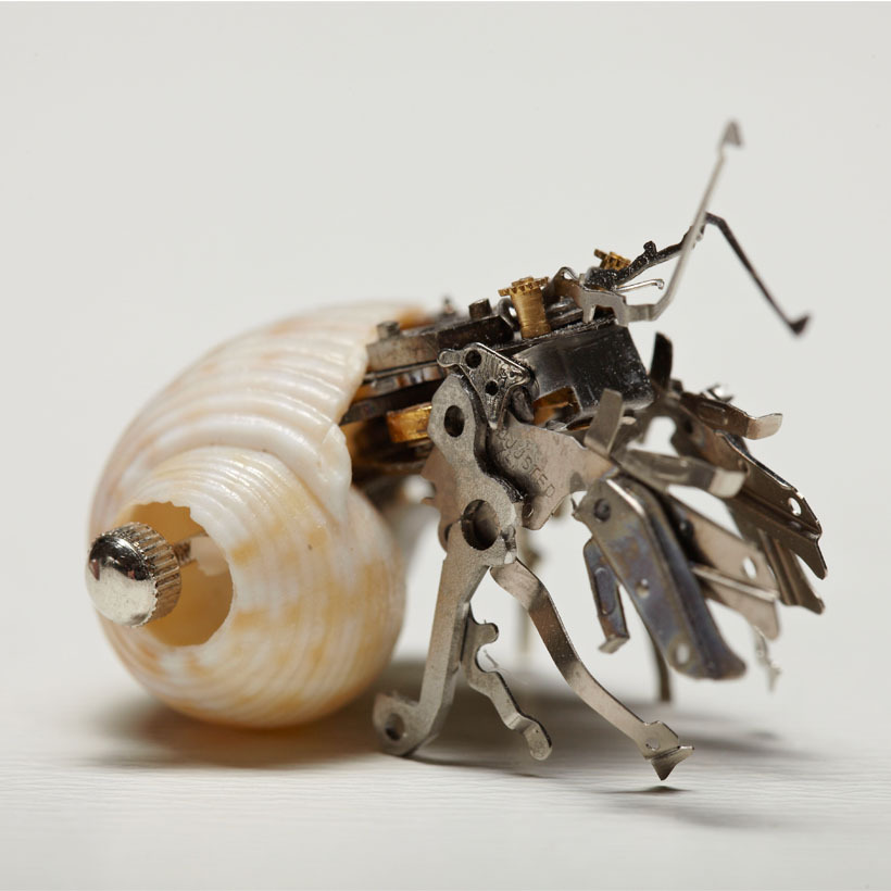 hermit crab watch parts matthew jones hermit crab watch parts matthew jones