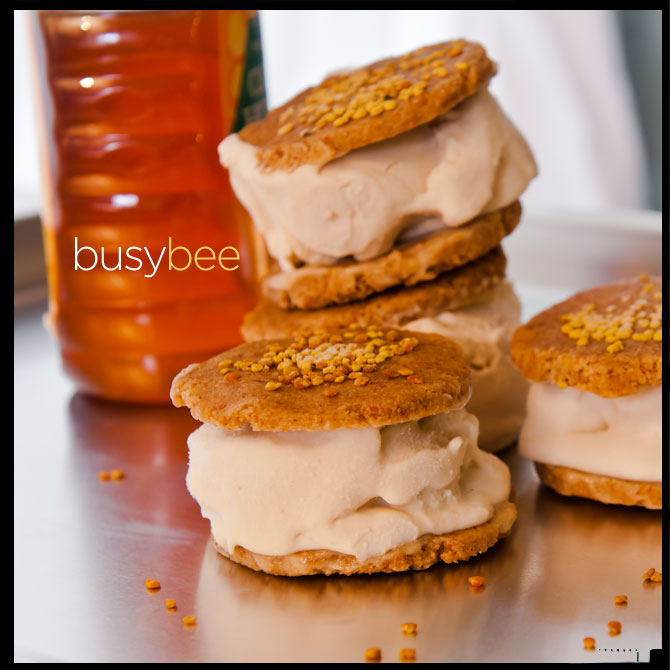 busy bee frozen treat