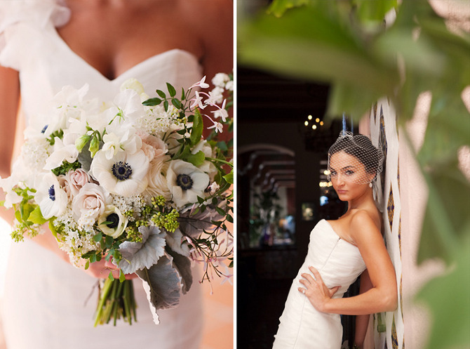 ... gorgeous photos taken by st...
