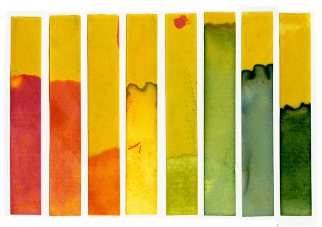 acids turn litmus paper acids turn litmus paper