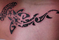 tattoo desenhando um tubarao youtube fazendo uma tatuagem de tubarao