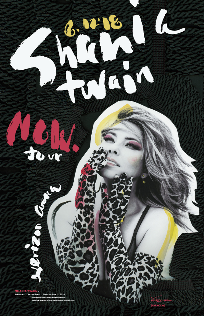 Shania Esign Shania Twain Poster - J Burwell Mixon Design