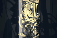 VISUAL ASSAULT