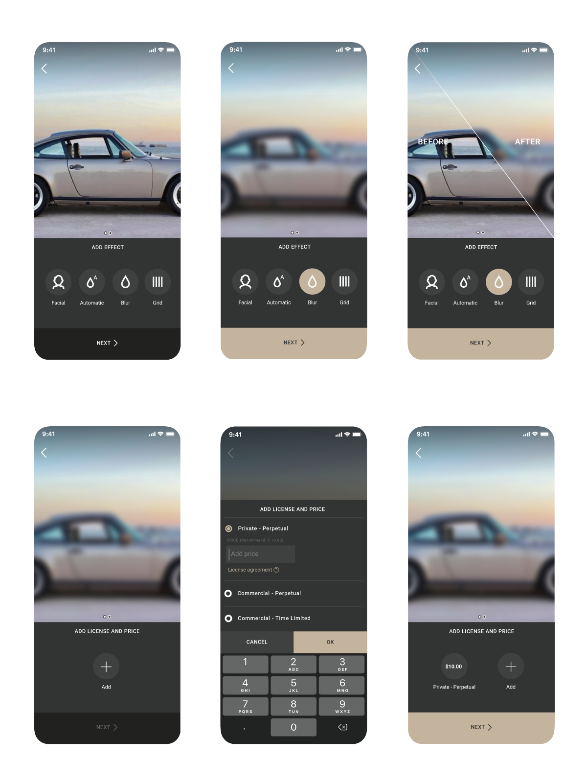 LaterPay pricing and distribution screens