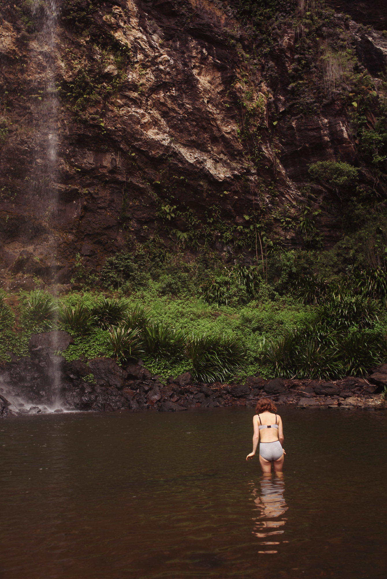 Twin Falls, Springbrook National Park The Travelling Light