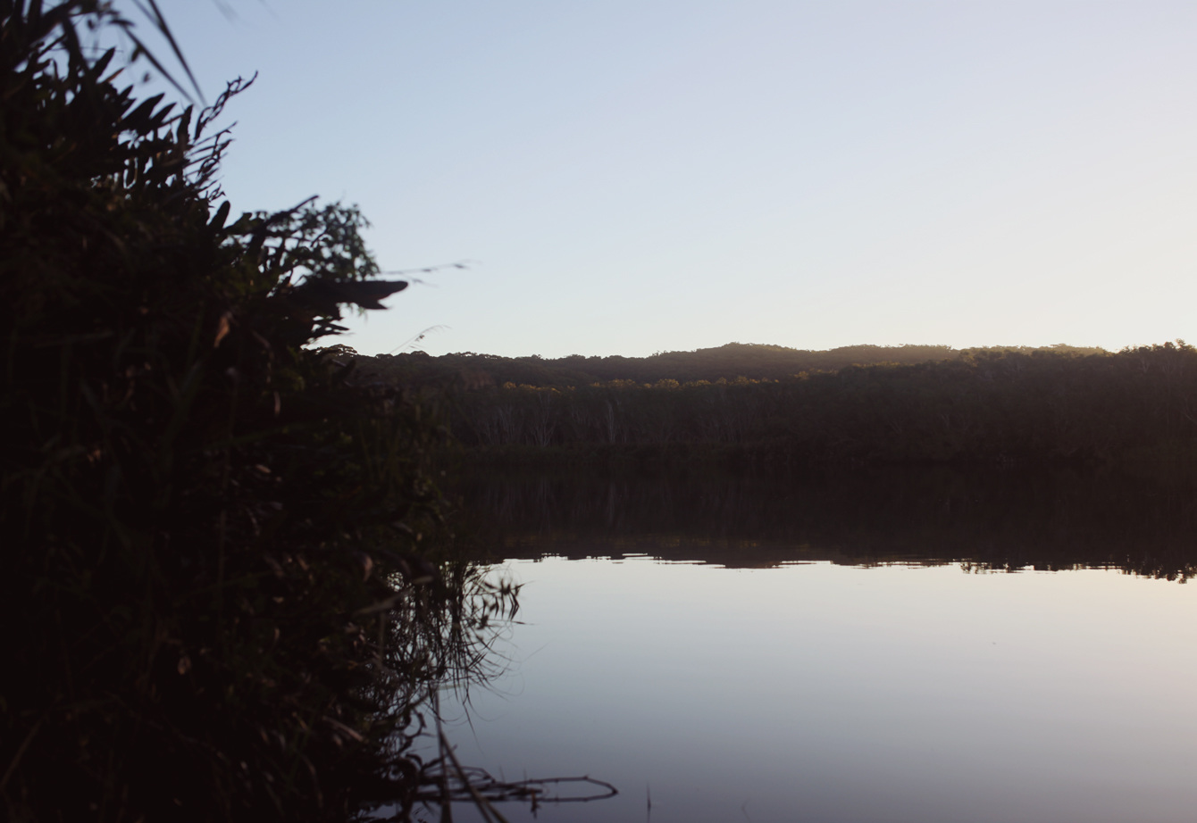Tea Tree Lake The Travelling Light