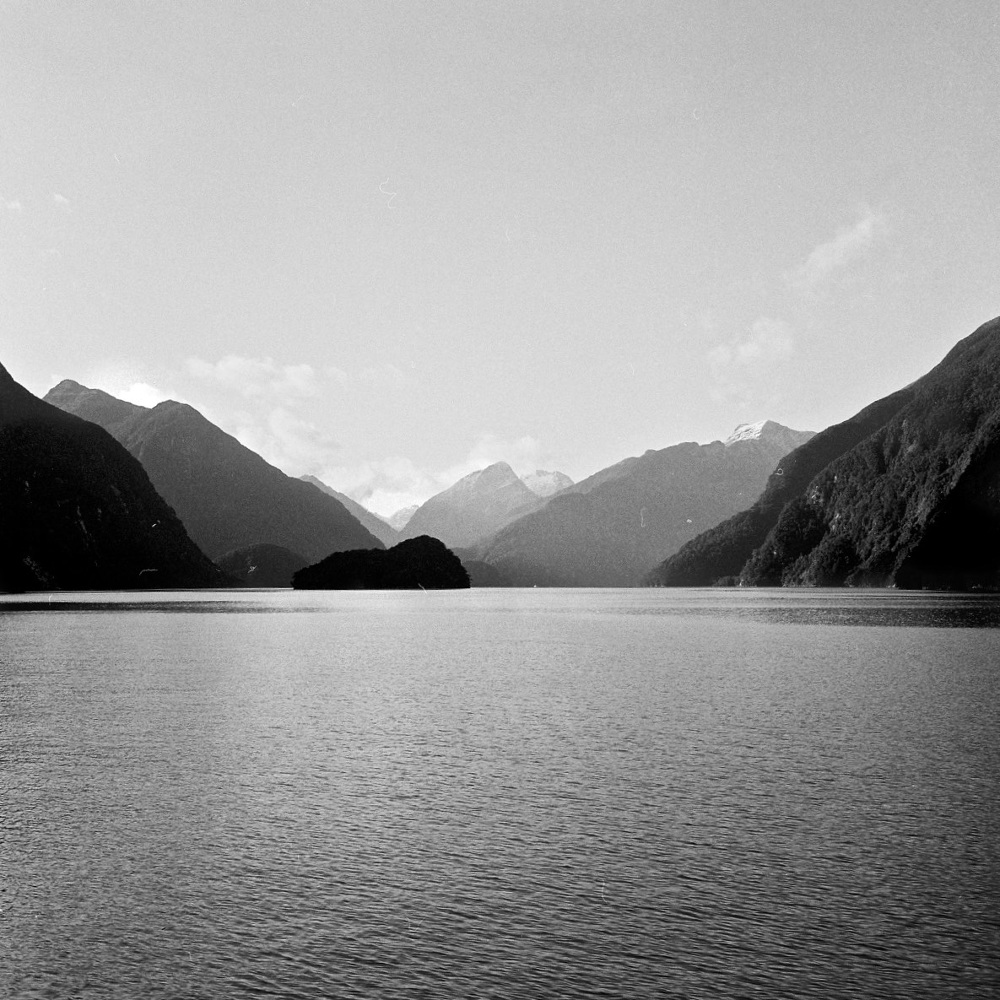 Milford Wanderer - KAREN QURESHI