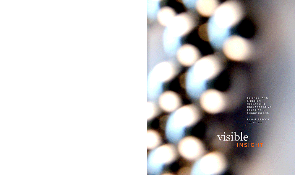 Visible Insight - designrepublic