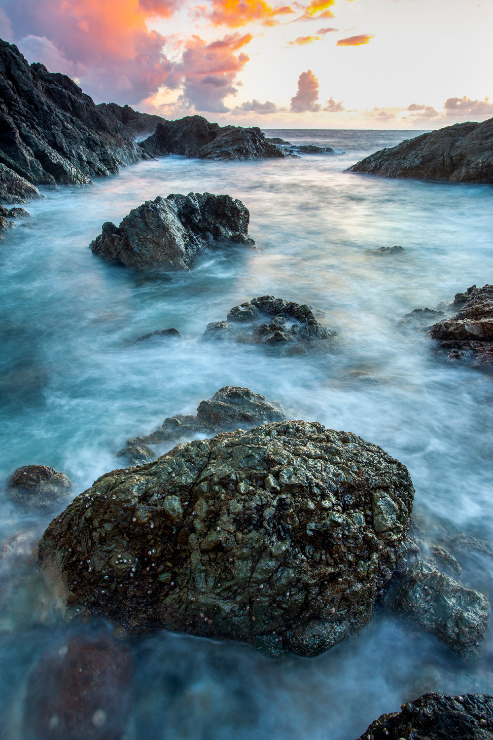 Selvagens Islands The last wild refuge