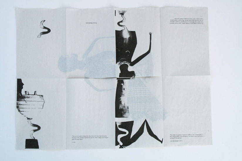 The Anatomy of Architecture (Zine) Tamsyn Mystkowski