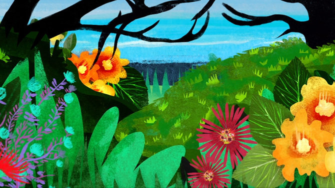 E Haku Inoa Documentary - + [ ashley.burke ] + illustration + direction