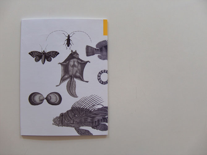 brochure // jost hochuli schabraque