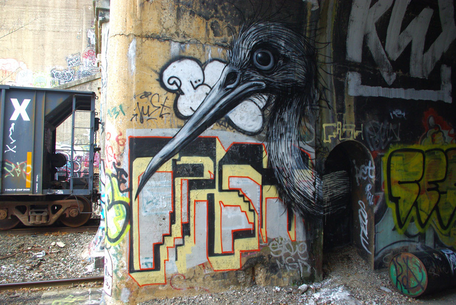 Roa Roa