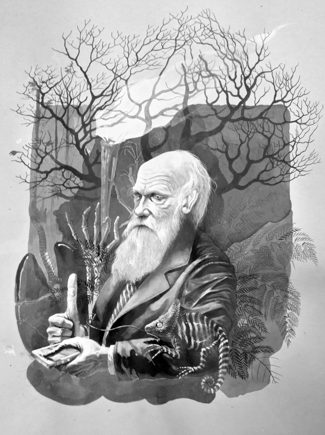 Development and Mimetism