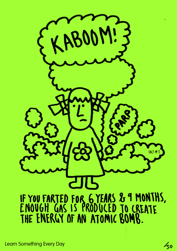 Ltd Ed Poster LEARN SOMETHING EVERY DAY