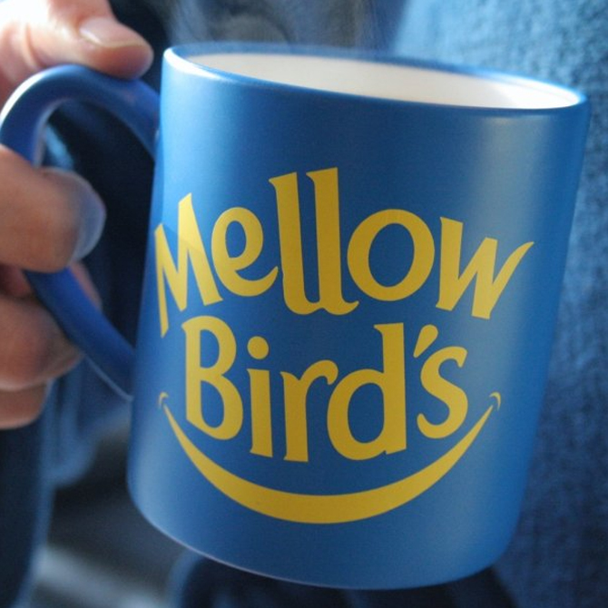 Mellow Bird's coffee Sally Skinner