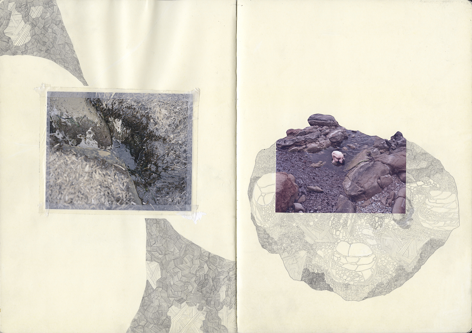 希少品】「Fractal State Of Being」 希少品】「Fractal State Of