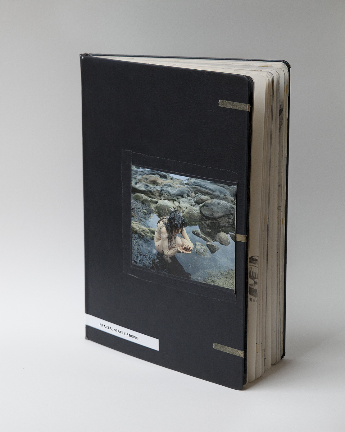 【希少品】「Fractal State Of Being」 Fractal State of Being - saraskorganteigen