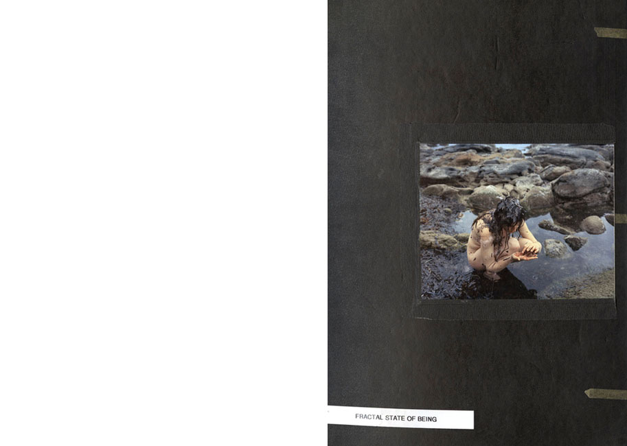 【希少品】「Fractal State Of Being」 Fractal State of Being - saraskorganteigen