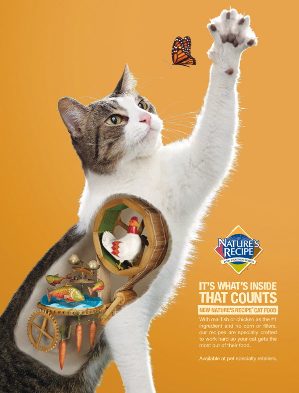 Nature s Recipe It s What s Inside John Kovacevich Creative Director