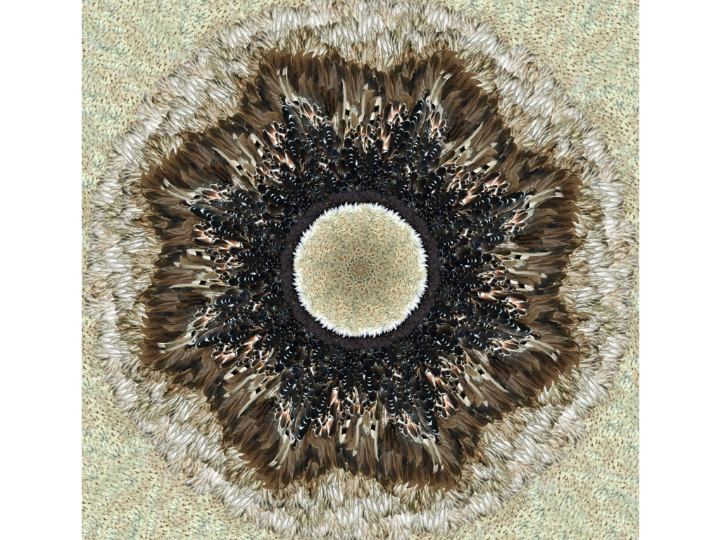 Alexander McQueen Feather Prints - Christopher Pearson