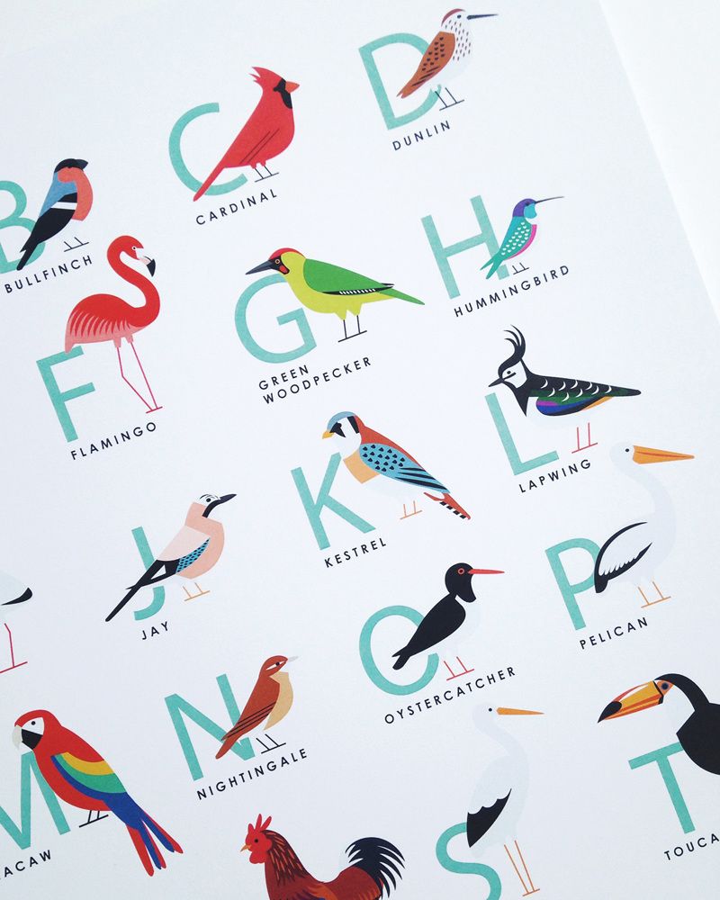 Bird Alphabet Sarah Abbott