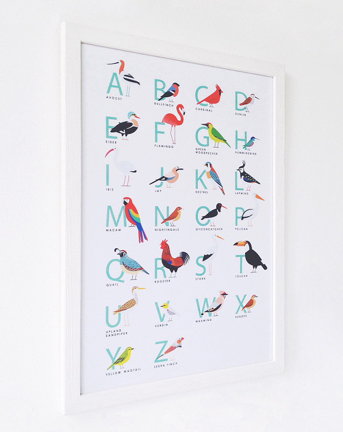 Bird Alphabet - - - - Sarah Abbott