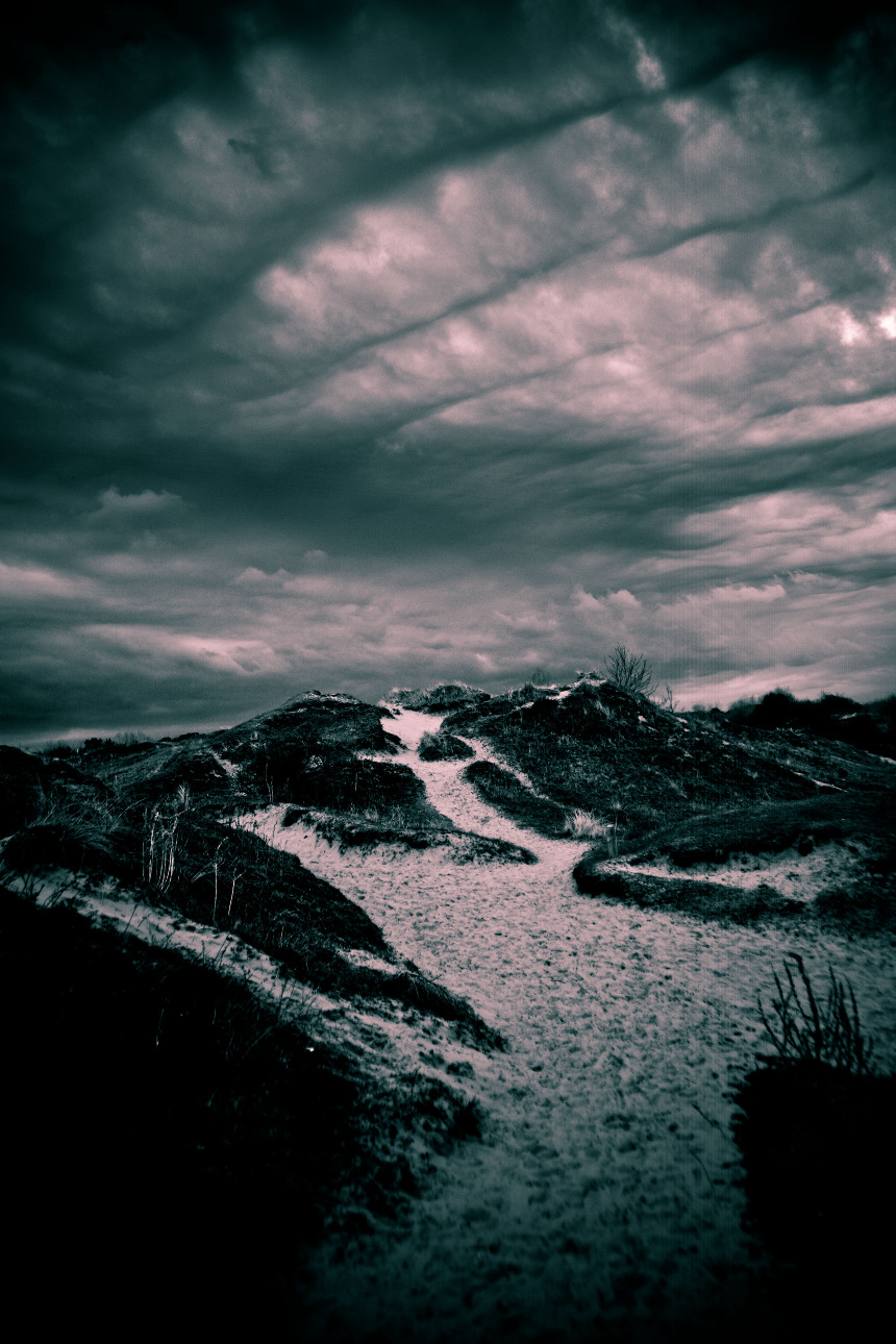 Fotojuno™ | The Photography of Matt Harris