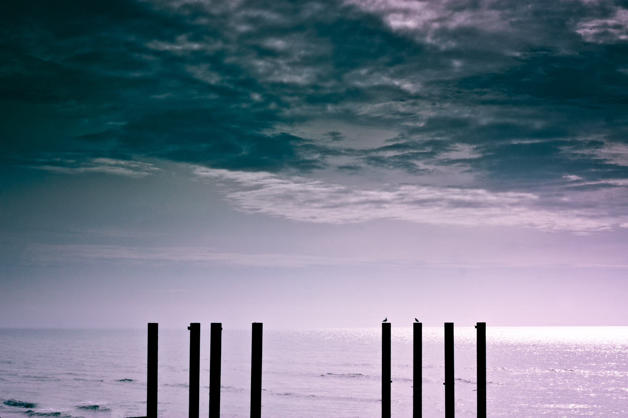 Fotojuno™ | The Photography of Matt Harris