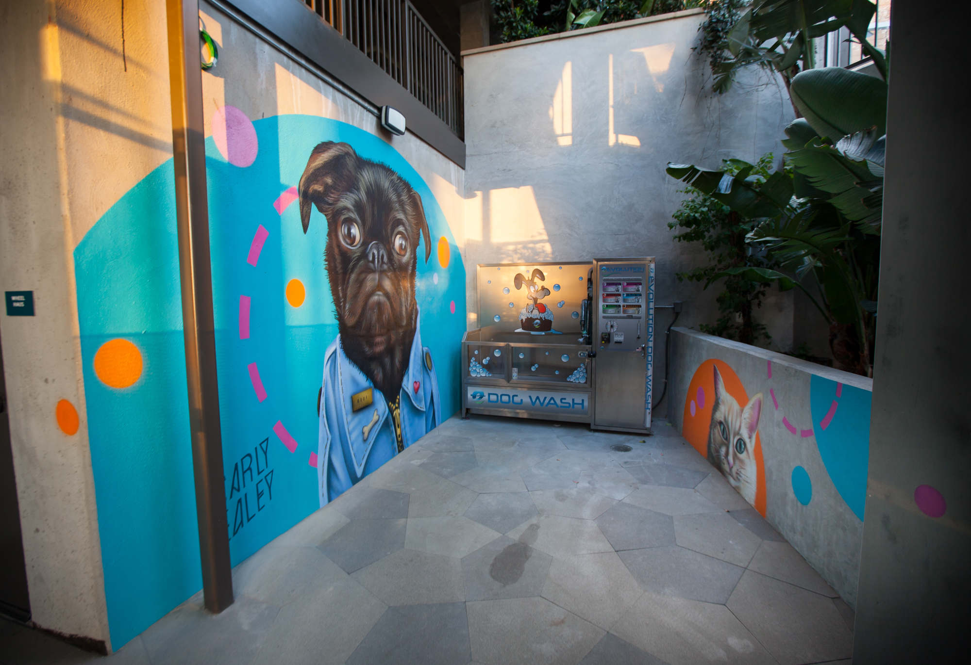 North park dog wash top