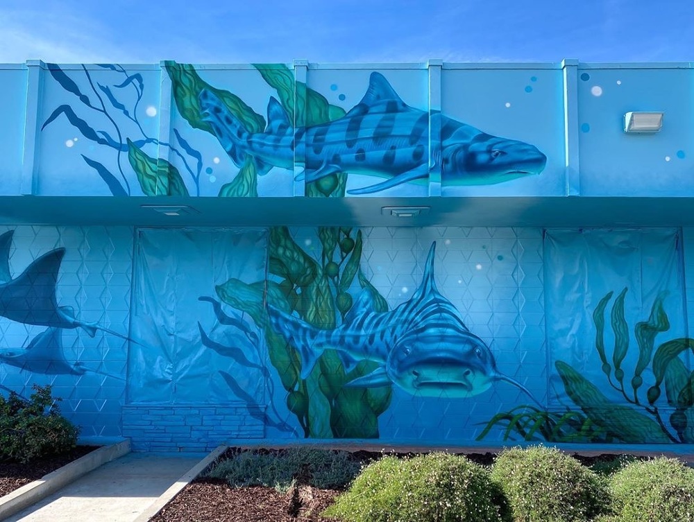 California American Water Imperial Beach Carly Ealey Art, Photo