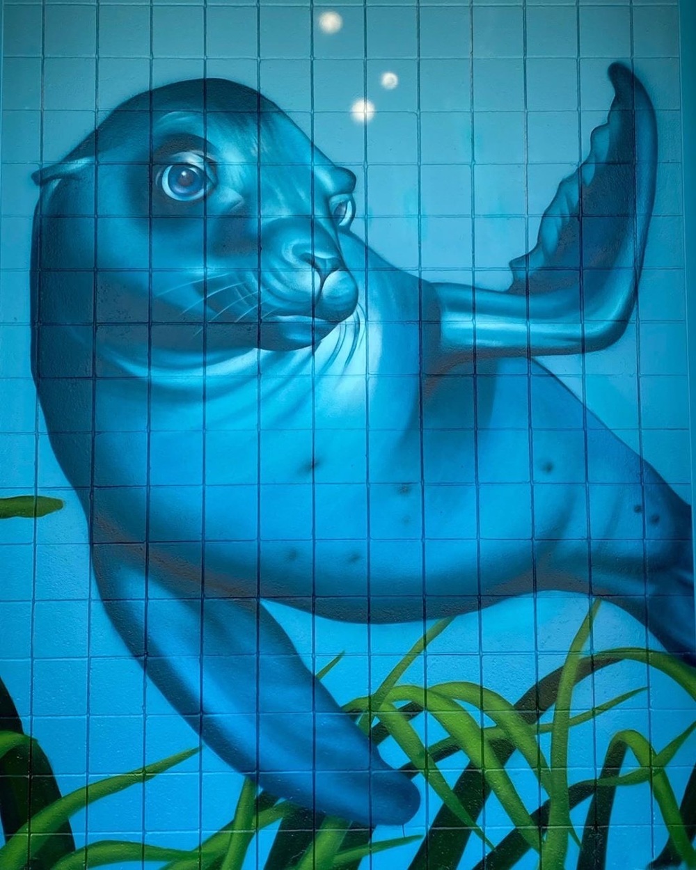 California American Water Imperial Beach Carly Ealey Art, Photo