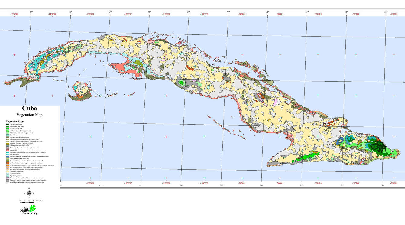 Reimagining Cuban Roads - Sonny Xu