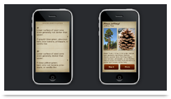 jepson manual app The digital jepson manual: vascular plants of california 2, bruce.