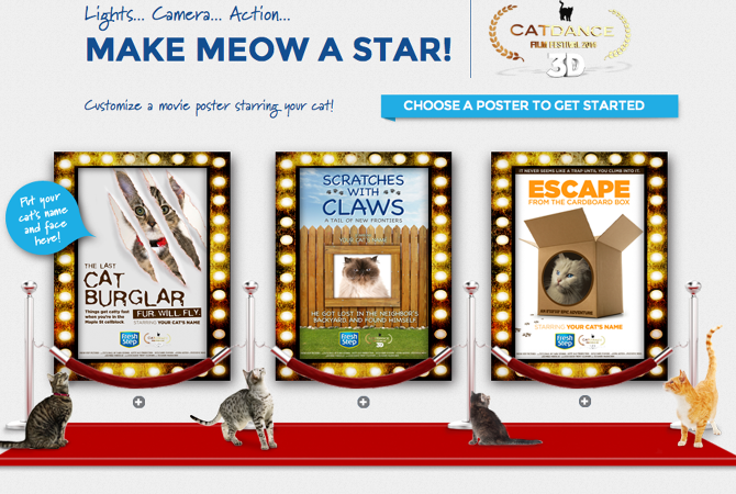 Fresh Step Make Meow a Star