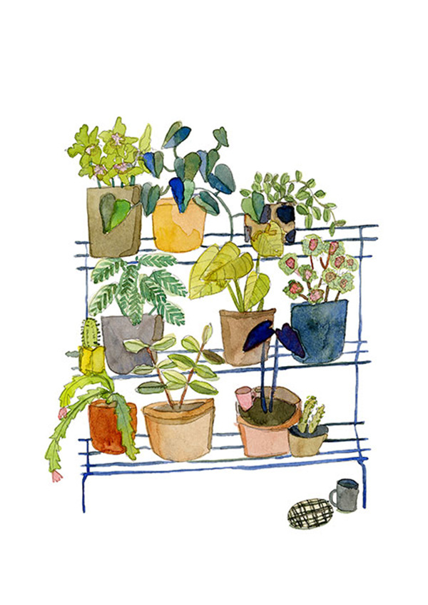 2015 // Giclee Prints + ELIZABETH