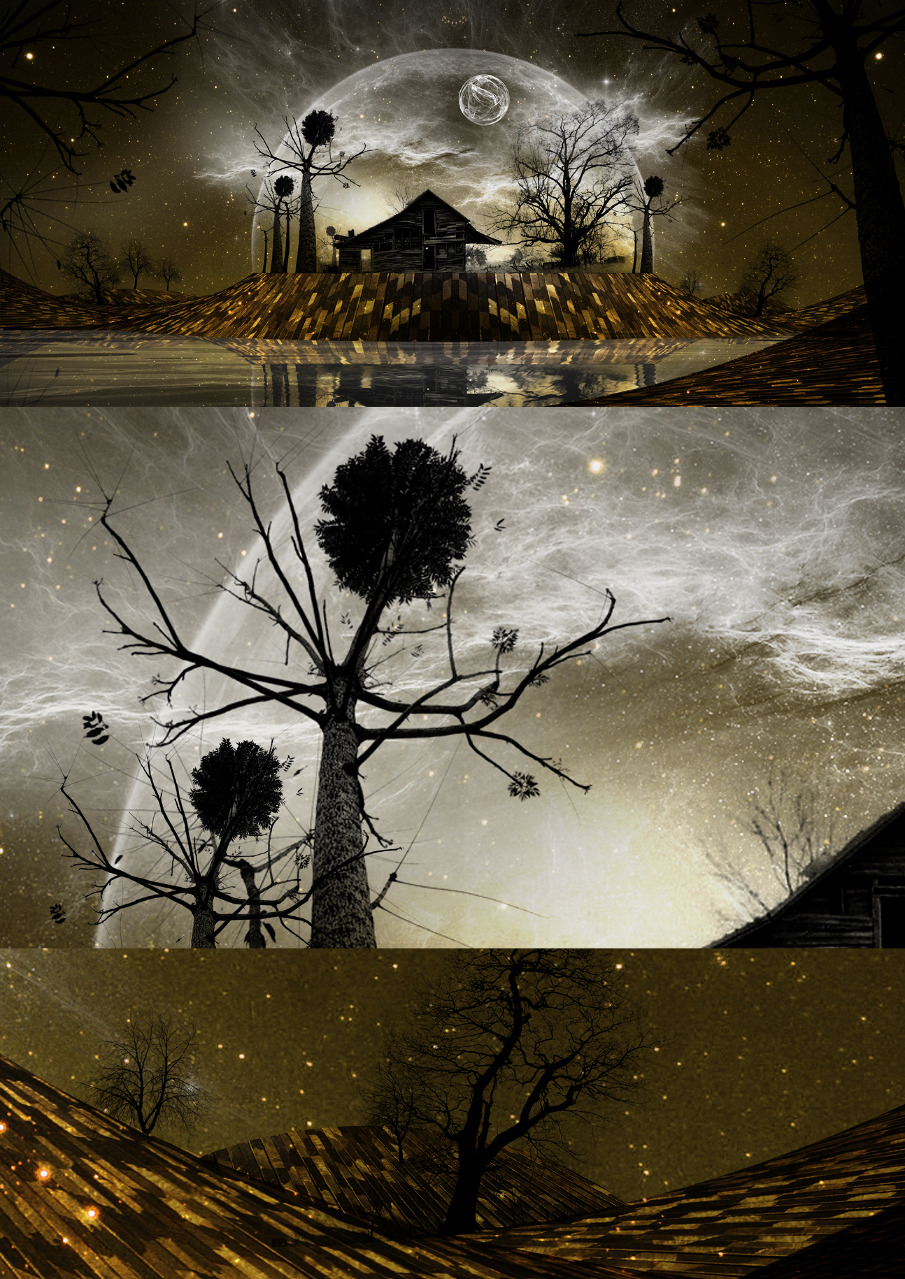 Where We Once Lived James Levy Studio