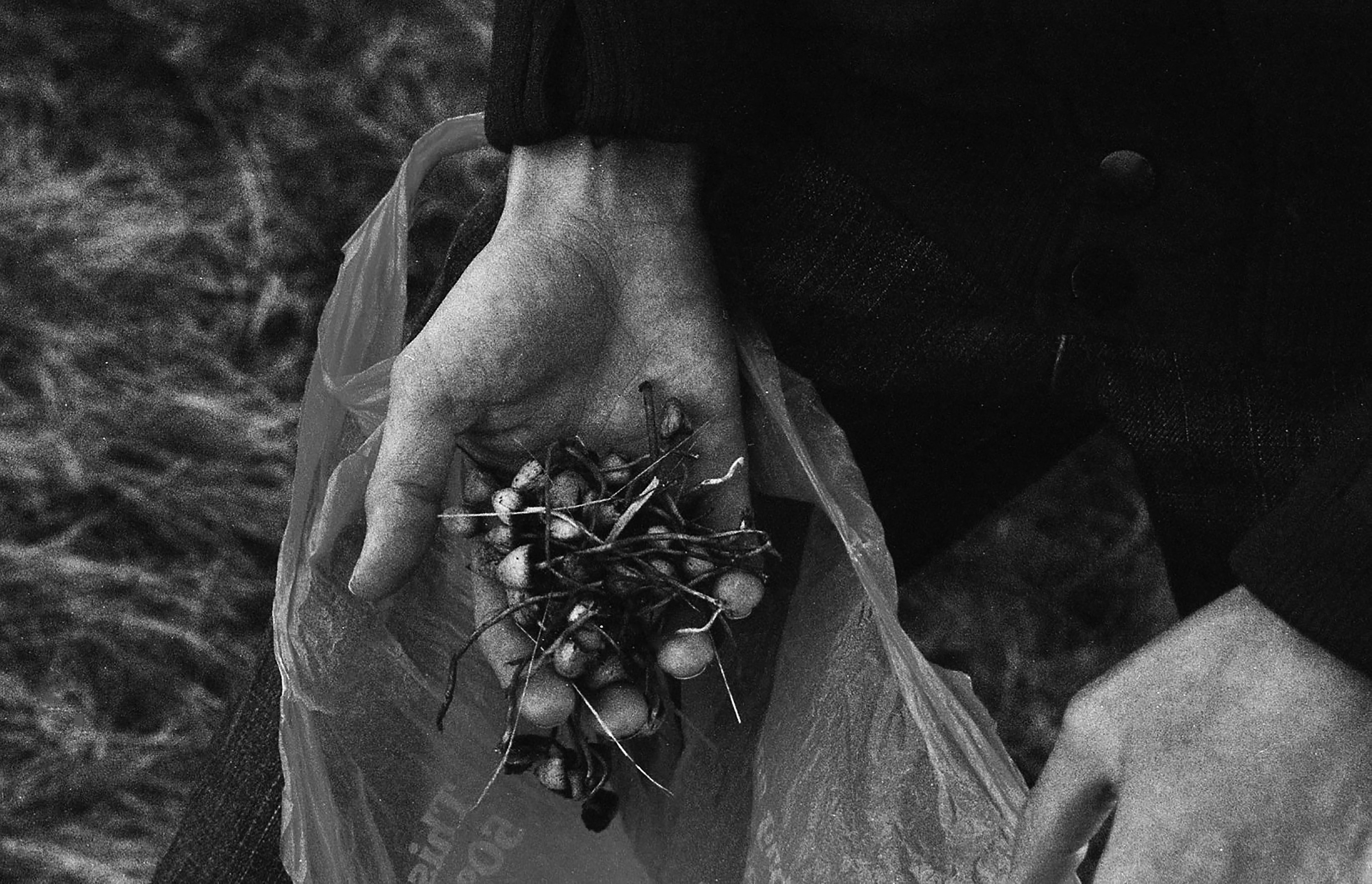 Small Town Syndrome Thom Whitehead