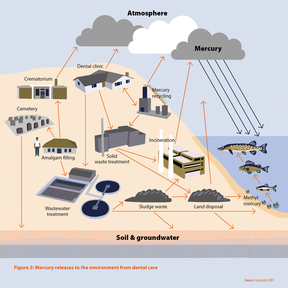 Dental amalgam environment scheme Maria Libert