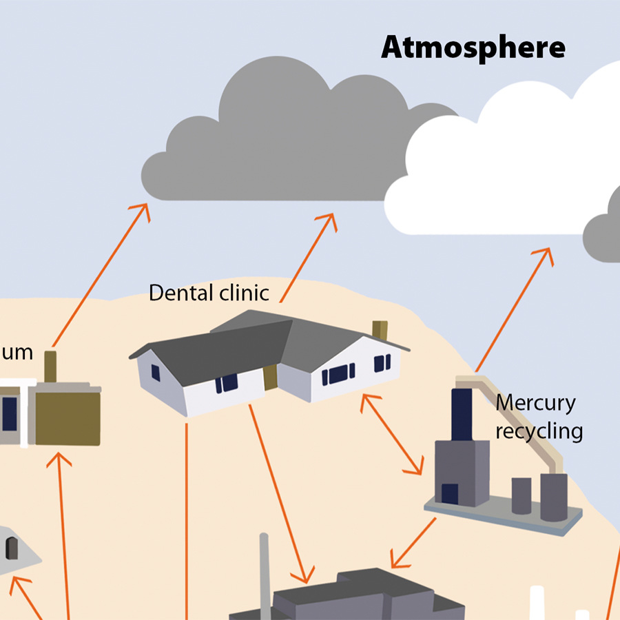 Dental amalgam environment scheme Maria Libert