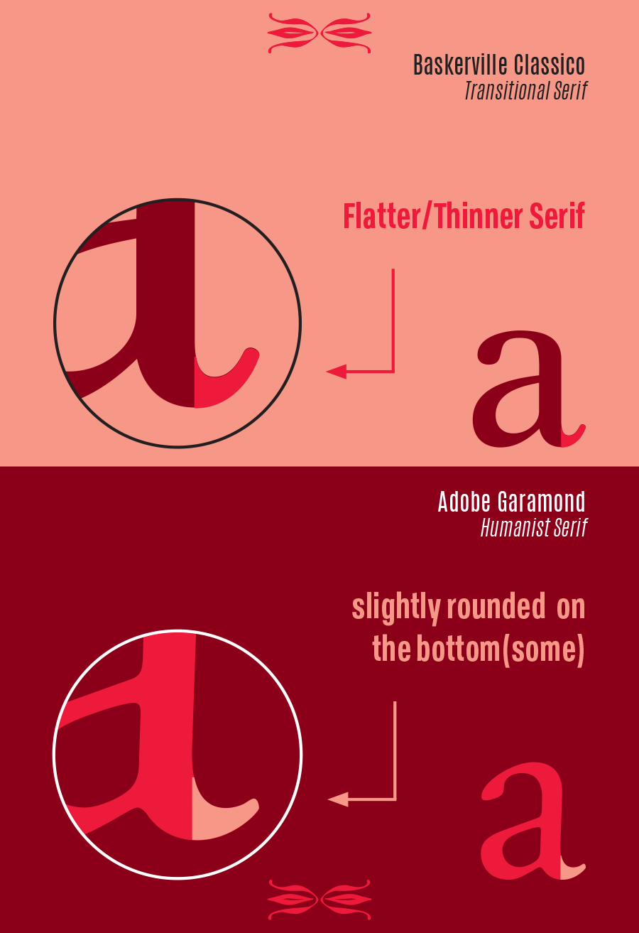 Typographic Classification Cards Robert Gonzalez