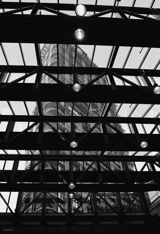 CALGARY & VANCOUVER Elizabeth Caron Portfolio
