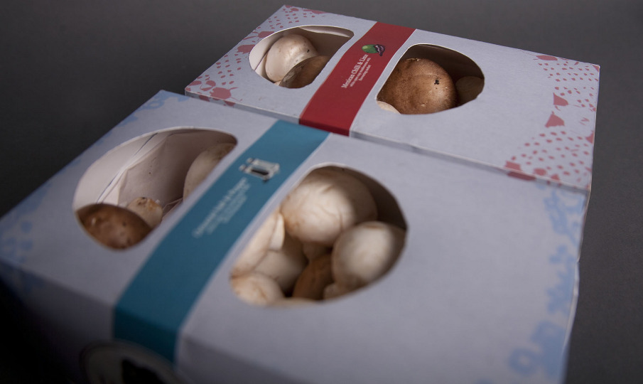 Mushroom Packaging Design daniel whitelegge o'higgins