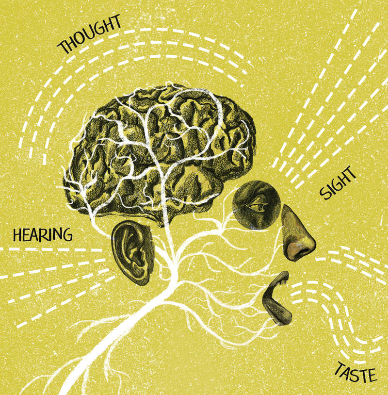 Unsense senses - Sophie Standing Illustration