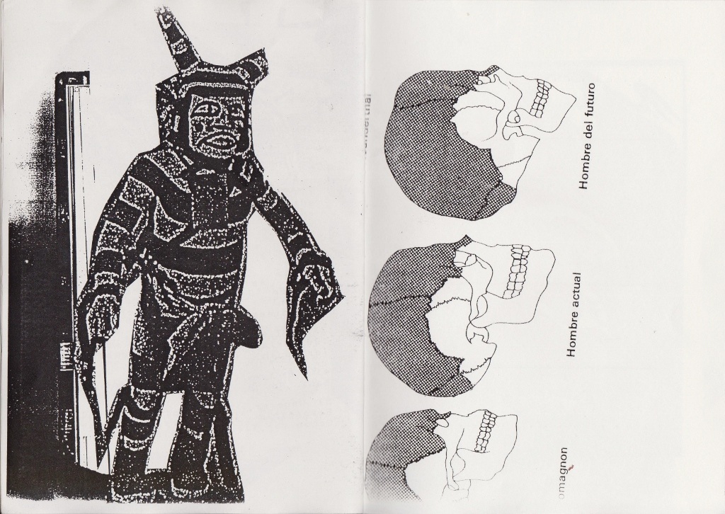 Time Lasso Catalog THE NIGHT LIBRARY