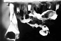 Unc course catalog image